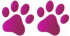 pink-paw-2.png